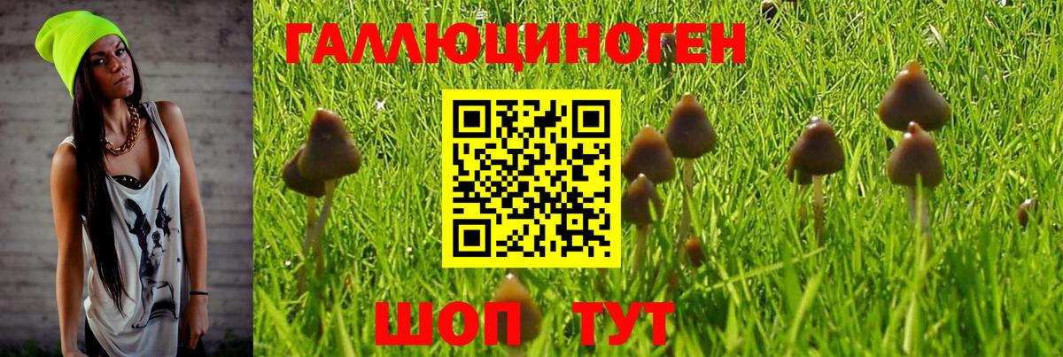 Павлово  Псилоцибиновые грибы ЛСД  Псилоцибиновые грибы мицелий  Вход с VPN 