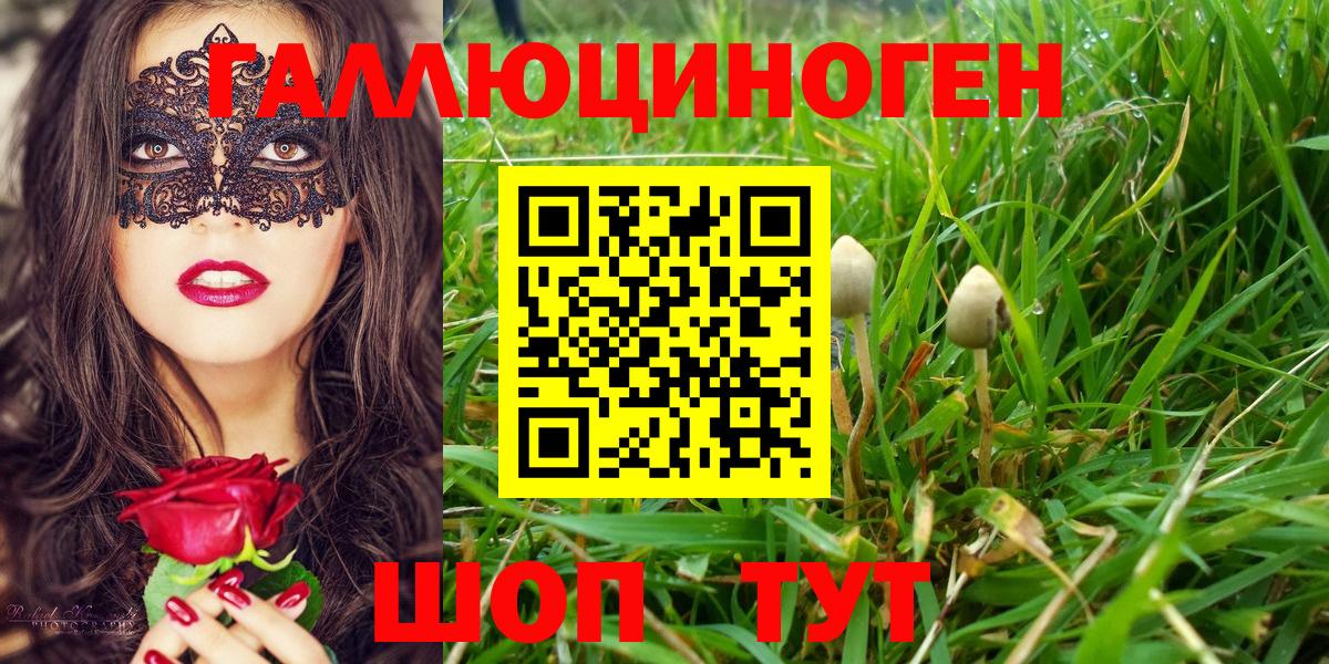 Галлюциногенные грибы ЛСД Павлово